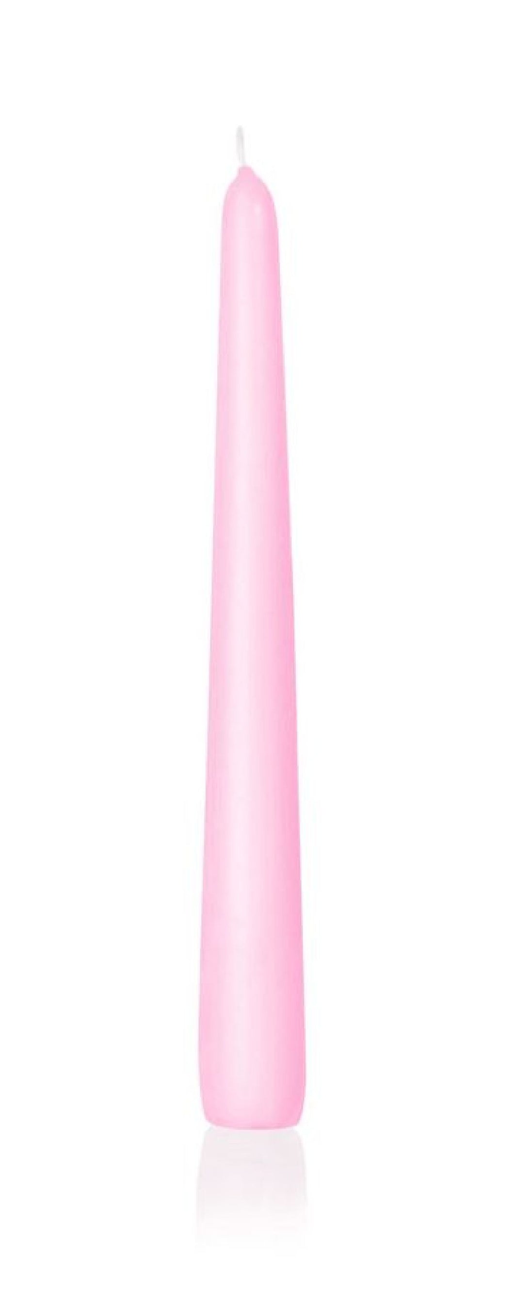 Spitzkerzen rosa I 12 Stück I Brenndauer 8h I Ø 25mm Höhe 25 cm I RAL Gütesiegel - 1,31 € pro Stück