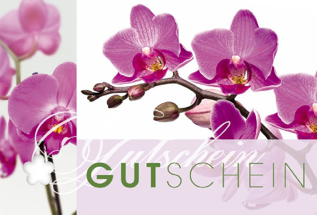Gutschein Orchidee Fleur Plus - 0,83 € pro Stück